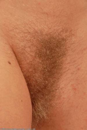 Original 685 px/ 1024 px