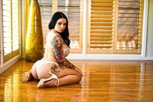 Original 2495 px/ 1663 px