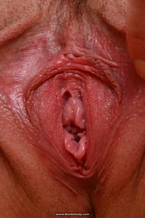 Original 1000 px/ 1500 px