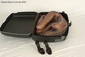 Original 800 px/ 531 px