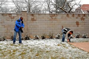 Original 900 px/ 600 px