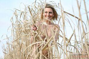 Original 1800 px/ 1200 px