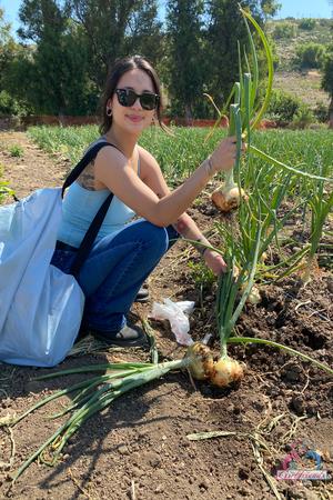 Original 2000 px/ 3000 px