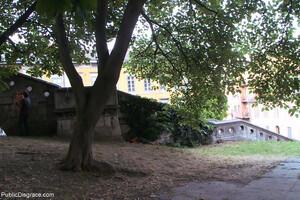 Original 1200 px/ 800 px