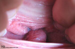 Original 1024 px/ 675 px