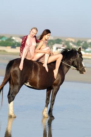 Original 1360 px/ 2048 px