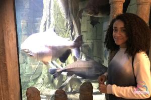 Original 3000 px/ 2000 px