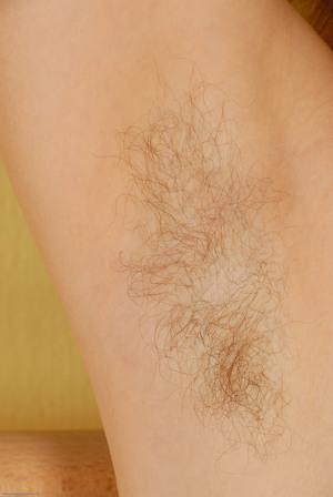 Original 2008 px/ 3000 px