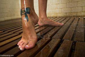 Original 1200 px/ 800 px