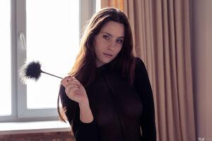 Original 6000 px/ 4000 px