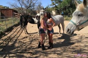 Original 1600 px/ 1066 px