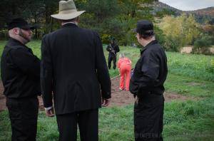 Original 1200 px/ 795 px