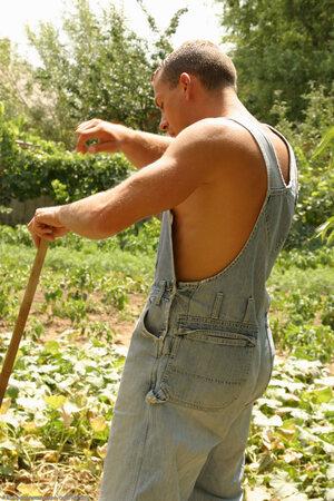 Original 1024 px/ 1536 px