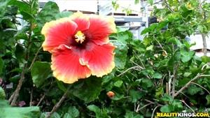 Original 3840 px/ 2160 px