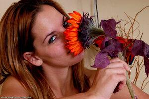 Original 1024 px/ 681 px