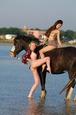 Original 1360 px/ 2048 px