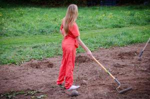 Original 1200 px/ 795 px