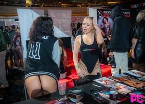 Original 1024 px/ 731 px