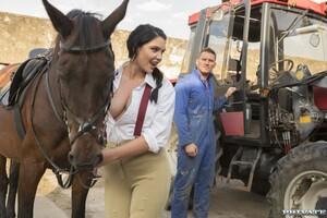 Original 1600 px/ 1067 px