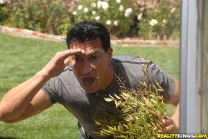 Original 3600 px/ 2408 px