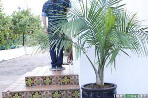 Original 1620 px/ 1080 px