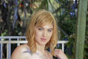 Original 1600 px/ 1064 px