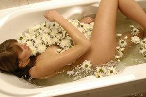 Original 2500 px/ 1662 px