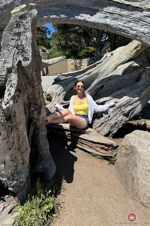 Original 2000 px/ 3000 px