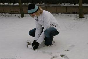 Original 1280 px/ 854 px