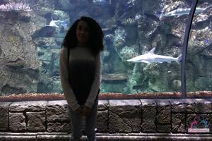 Original 3000 px/ 2000 px