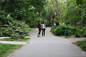 Original 1280 px/ 853 px