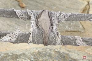 Original 3000 px/ 2000 px