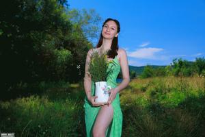 Original 2500 px/ 1666 px