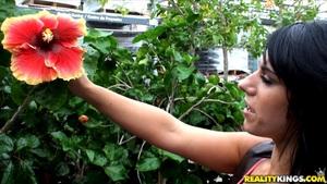 Original 3840 px/ 2160 px