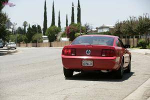 Original 1600 px/ 1067 px