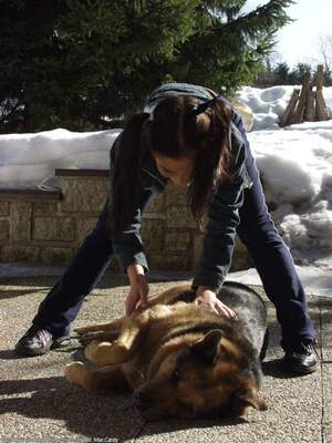 Original 1200 px/ 1600 px