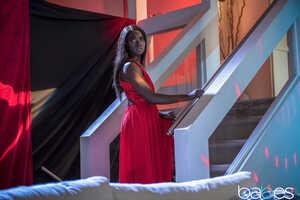 Original 2492 px/ 1663 px