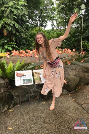 Original 2000 px/ 3000 px