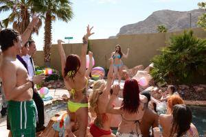 Original 2491 px/ 1663 px