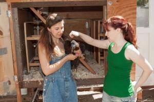 Original 1280 px/ 854 px