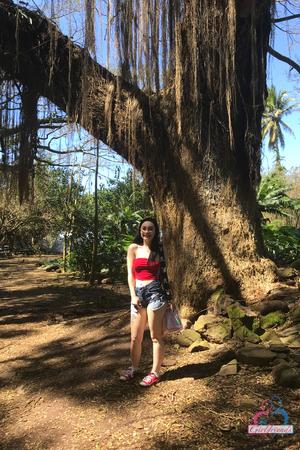 Original 2000 px/ 3000 px