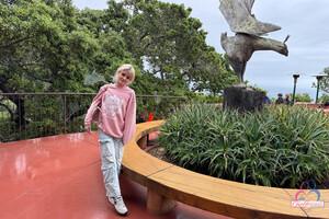 Original 5000 px/ 3333 px