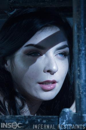 Original 795 px/ 1200 px