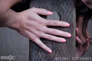 Original 1200 px/ 795 px