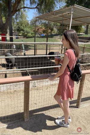 Original 2000 px/ 3000 px