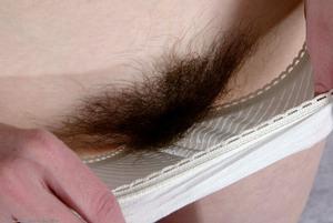 Original 1536 px/ 1027 px