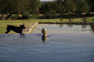 Original 5184 px/ 3456 px