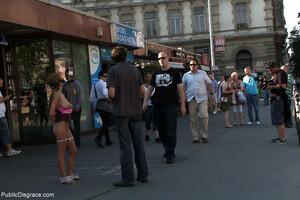 Original 1200 px/ 800 px