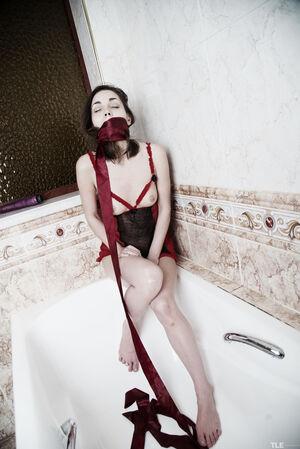 Original 4016 px/ 6016 px