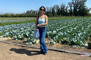 Original 3000 px/ 2000 px